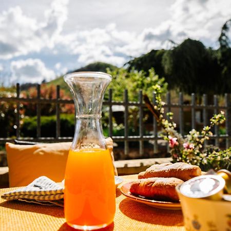Selvicolle Country House Crispiero Экстерьер фото